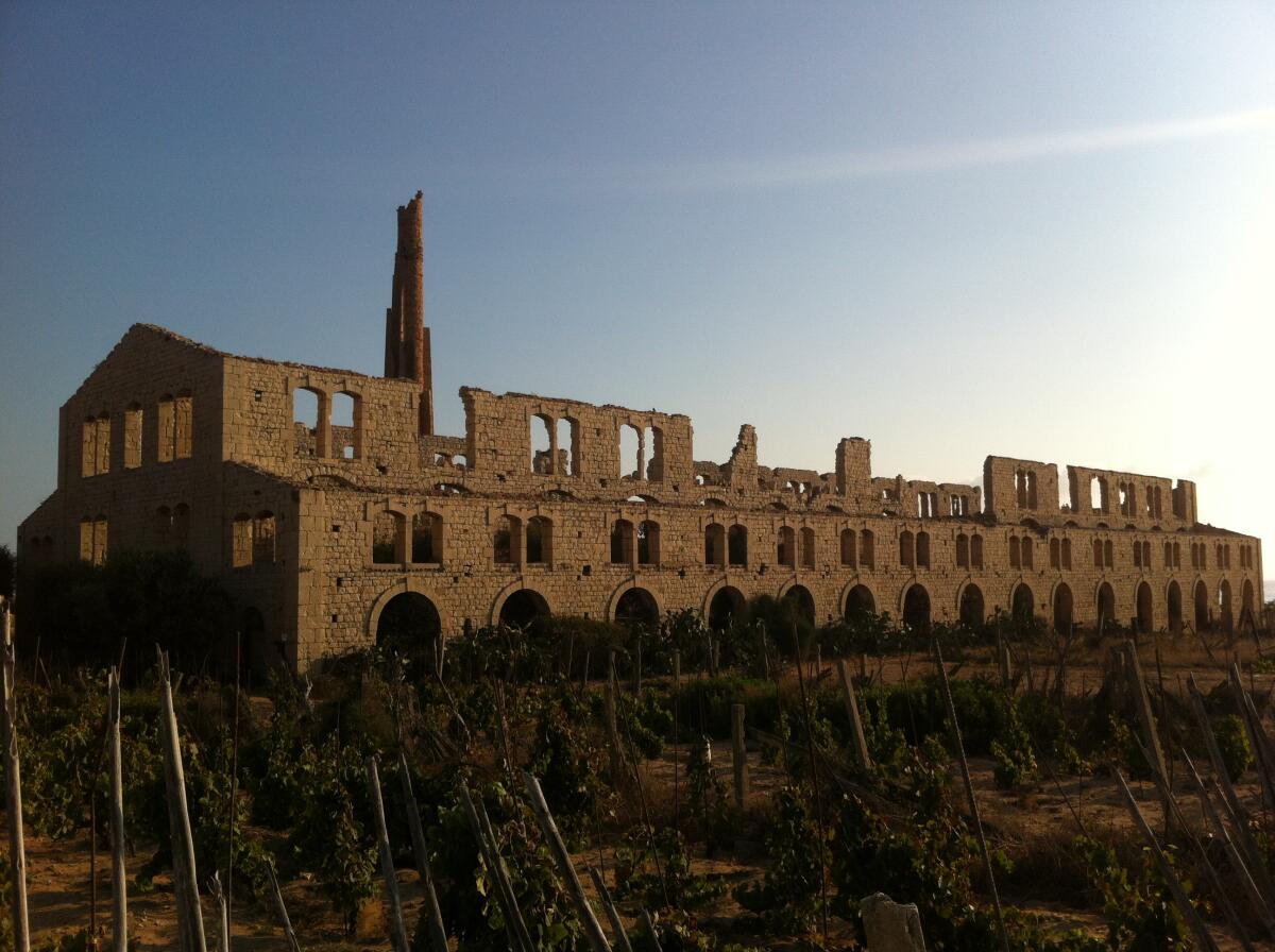 HBIM per il patrimonio storico e l'applicazione sulla Fornace Penna - Ph: Lorenzo Iaconinoto