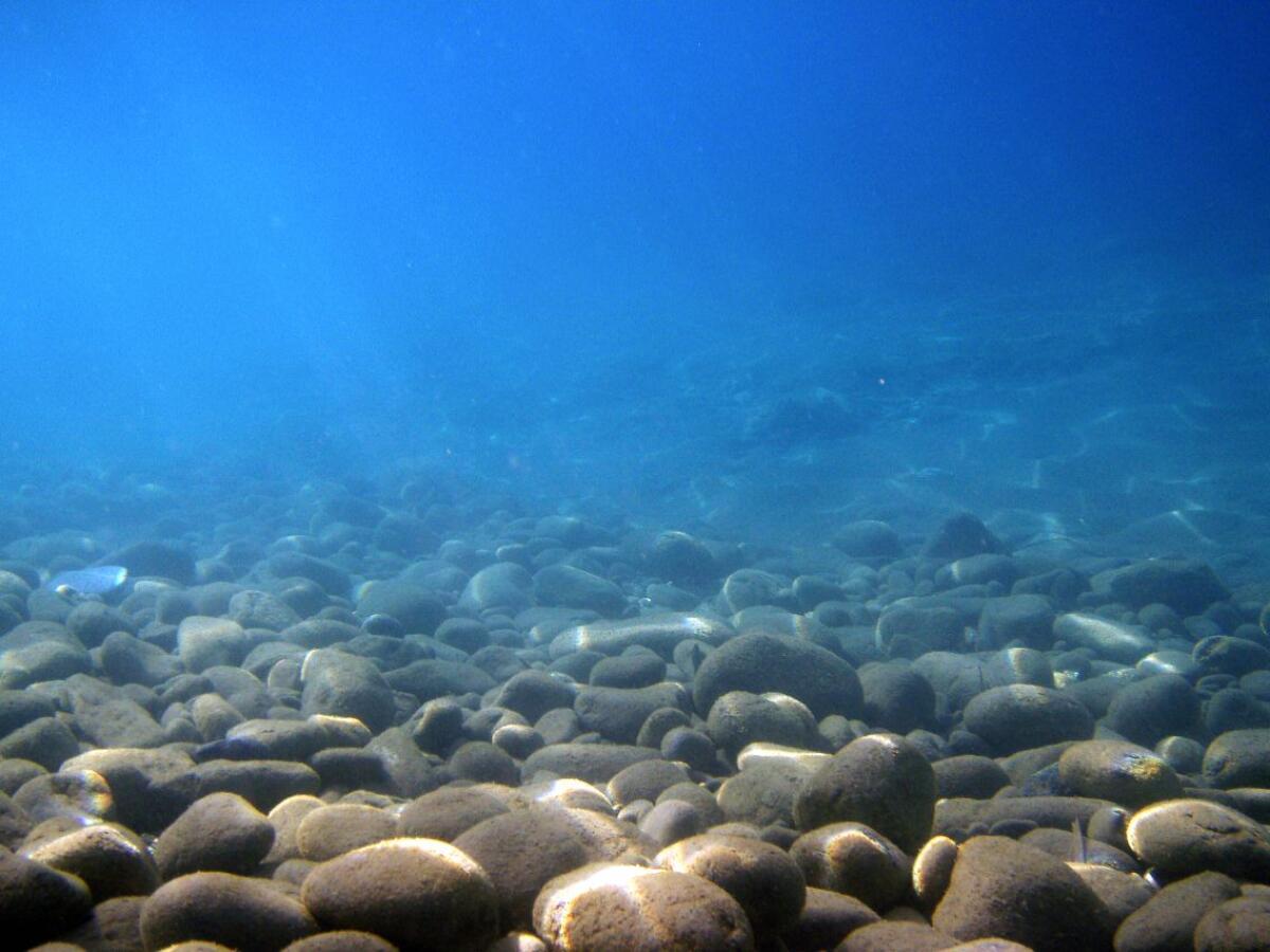 Come sfruttare il mare per ottenere carburante? - fonte: http://www.fabiolottero.it/