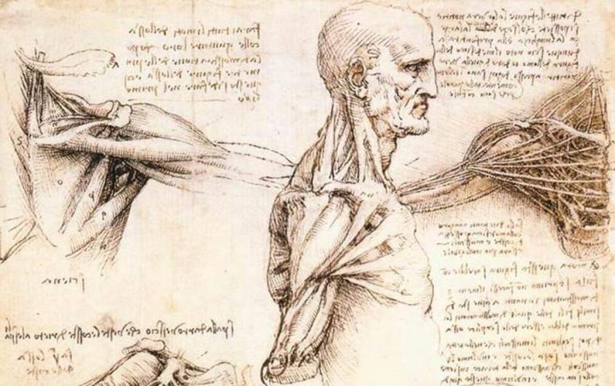 Leonardo Da Vinci: antenato della Bioingegneria - Leonardo Da Vinci: antenato della Bioingegneria