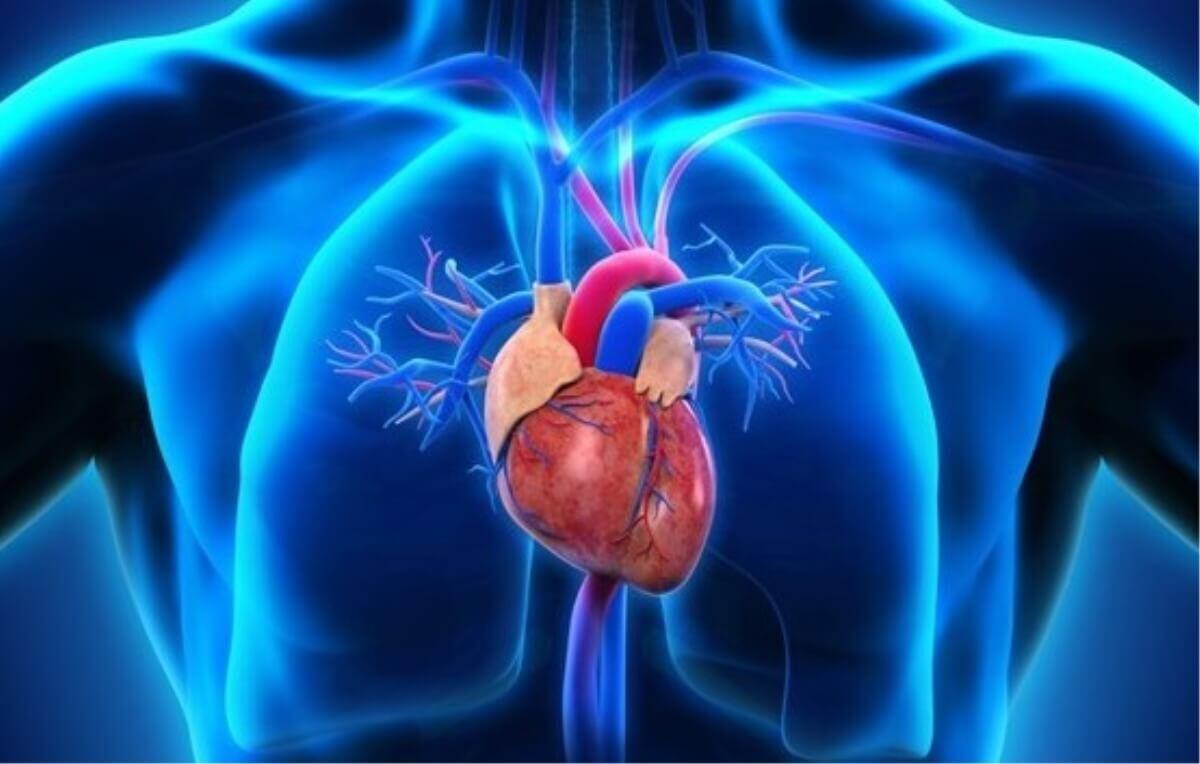 Come limitare gli effetti collaterali del cuore artificiale? - Come limitare gli effetti collaterali del cuore artificiale?
Credits: businessonline