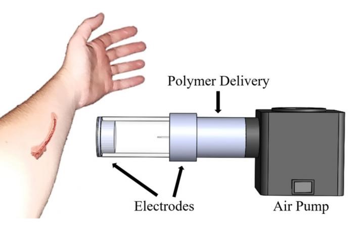 CREDIT: L.G. HUSTON AND E.A. KOOISTRA-MANNING, MONTANA TECHNOLOGICAL UNIVERSITY