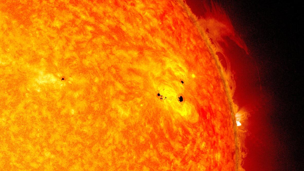 Macchie solari assenti da 271 giorni: l'ultima volta nel 1913 - Macchie solari (crediti: NASA)