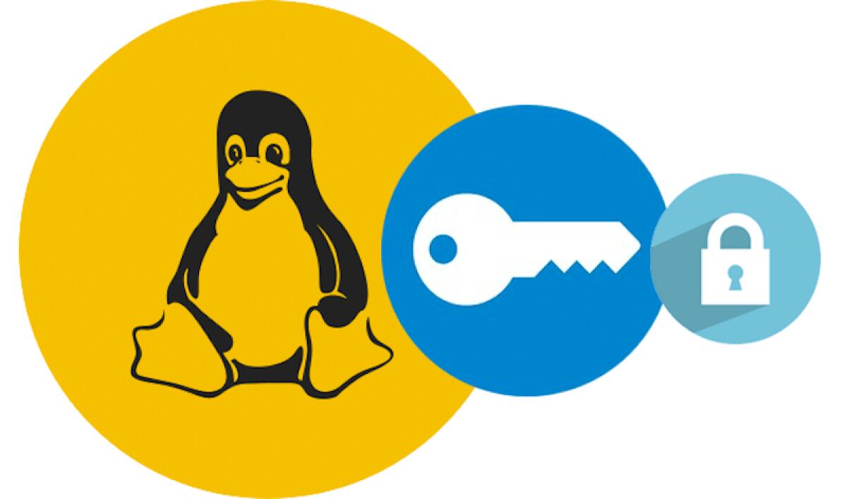 Scoperta vulnerabilità nei client VPN - Vulnerabilità VPN. Credits: threatpost.com