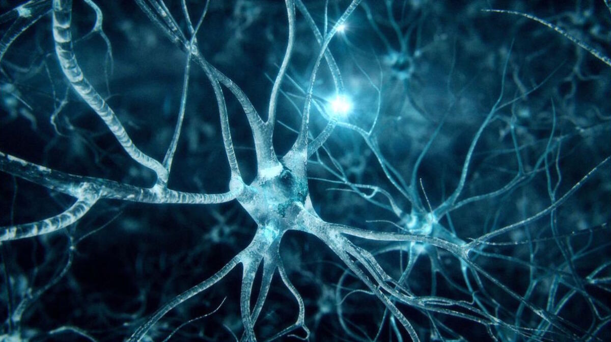 Neuroni artificiali per gli impianti neurali del futuro - 
