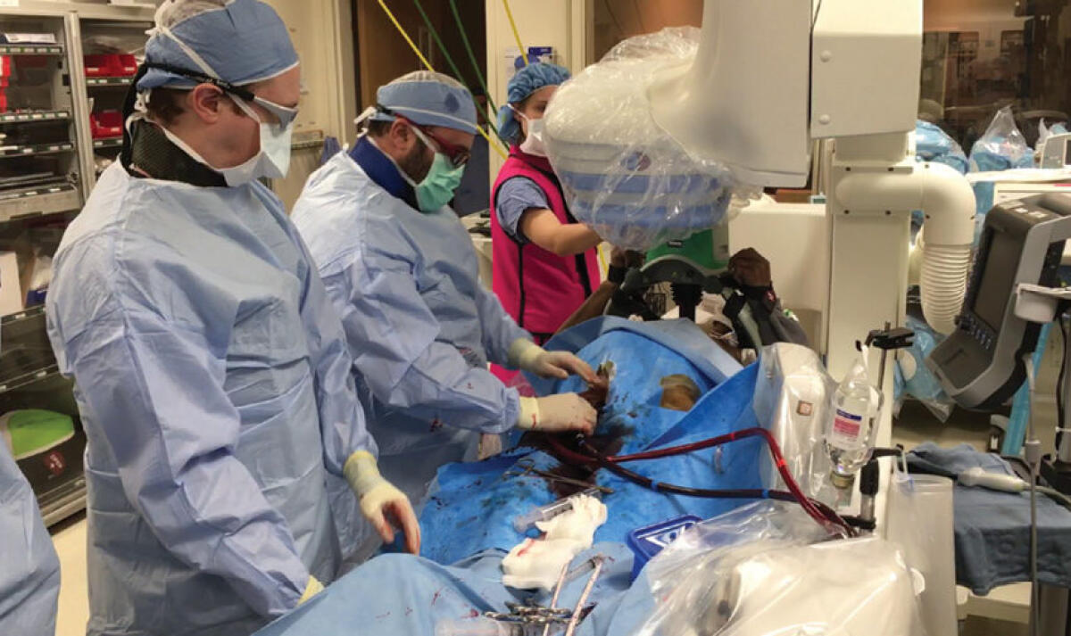 6 ore in arresto cardiaco: si risveglia senza danni cerebrali grazie al freddo - dopo 6 ore arresto cardiaco si risveglia senza danni cerebrali ipotermia ecmo
credits: jems.com