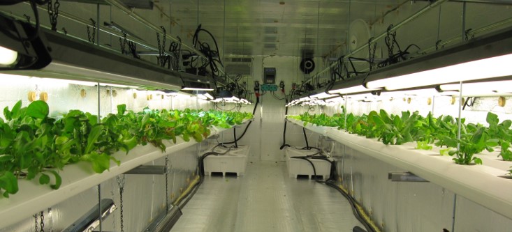 Aeroponica, ambiente, impianti, risparmio energetico, risorse, piante, agricoltura, impatto ambientale, innovazione, rinnovabile, nutrimento, Energy Close-up Engineering