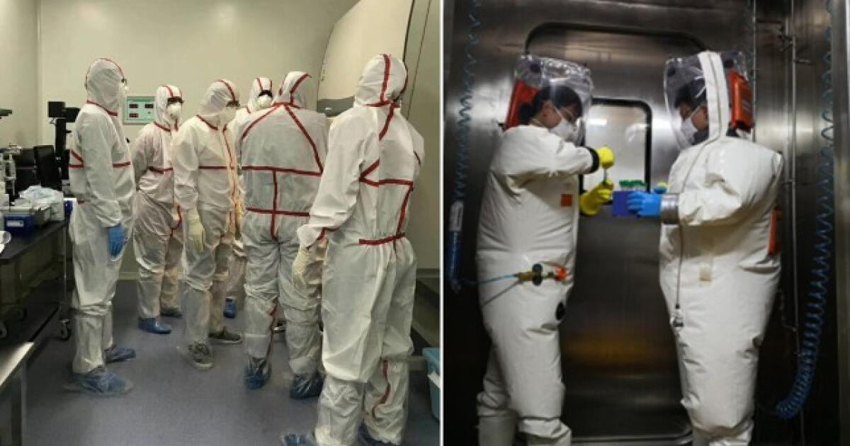 Coronavirus creato in laboratorio? Arriva la smentita dell'ambasciata cinese - essere-informati.it