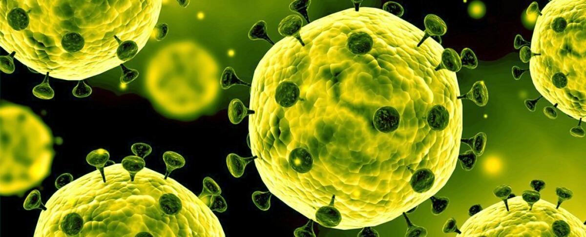 Coronavirus, le bufale sul nuovo virus cinese - Illustrazione di un coronavirus (crediti: Stocktrek Images/Getty Images)