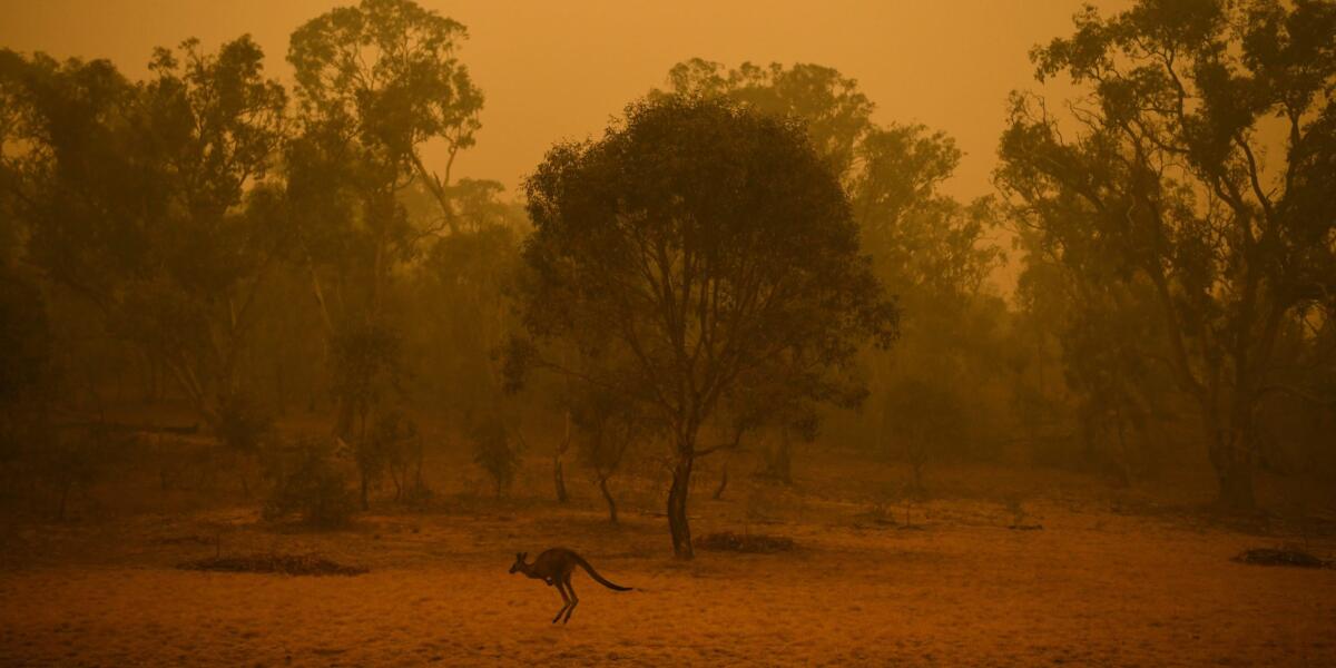 Australia, cosa dice la normativa sulle zone a rischio incendio - 