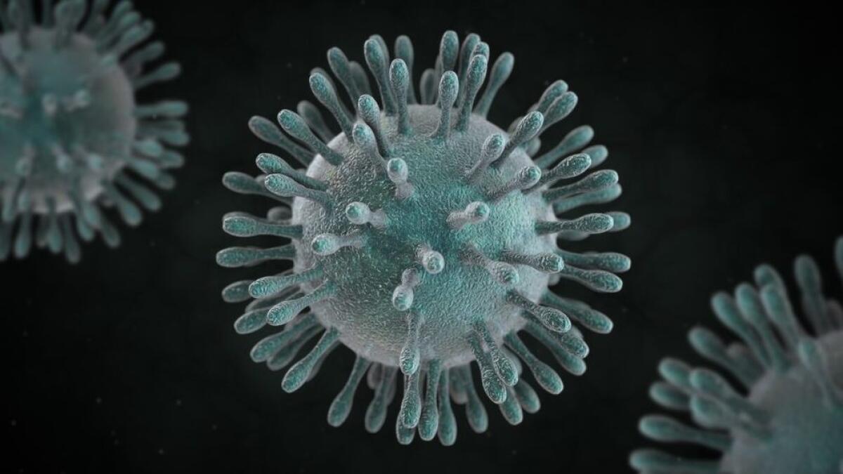 Allarme Cina: mappato il genoma del misterioso virus - Allarme Cina: mappato il genoma del misterioso virus