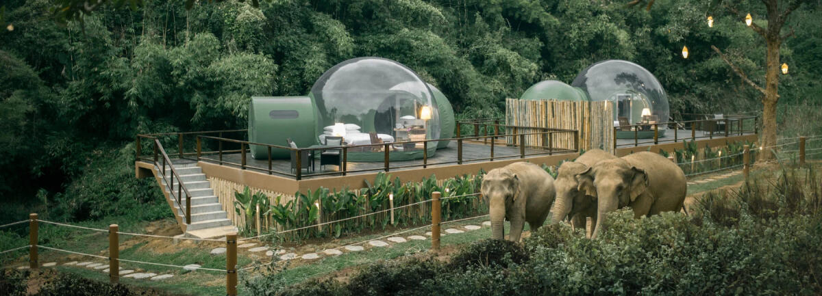 Jungle Bubbles, un resort di lusso tra giungla e elefanti - 