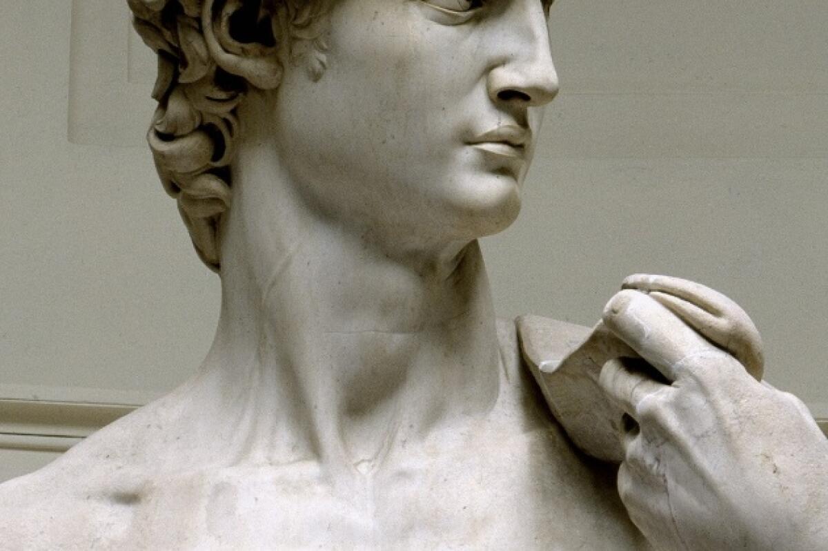 La giugulare nel David: così Michelangelo anticipò la scienza - 