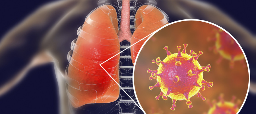 Allarme Cina: mappato il genoma del misterioso virus
