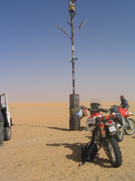 L'albero che fa "compagnia" a Thierry Sabine