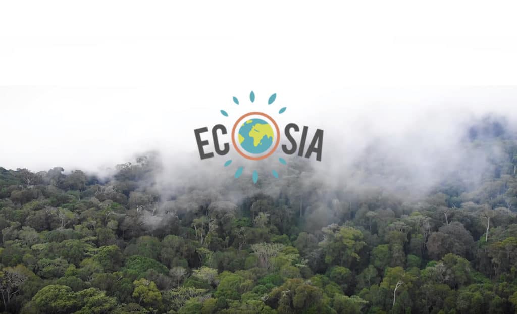 Ecosia è davvero un motore di ricerca eco?