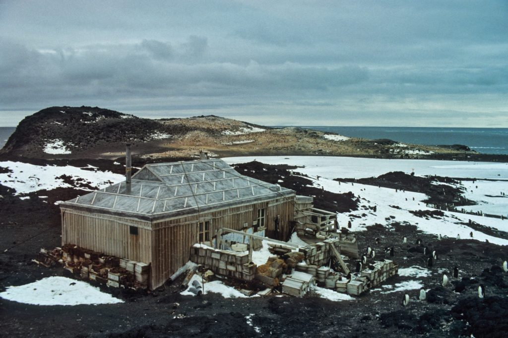 La capanna di Shackleton, ispezionata dai pinguini di Adelia, nel 1981. Ph: nytimes.com