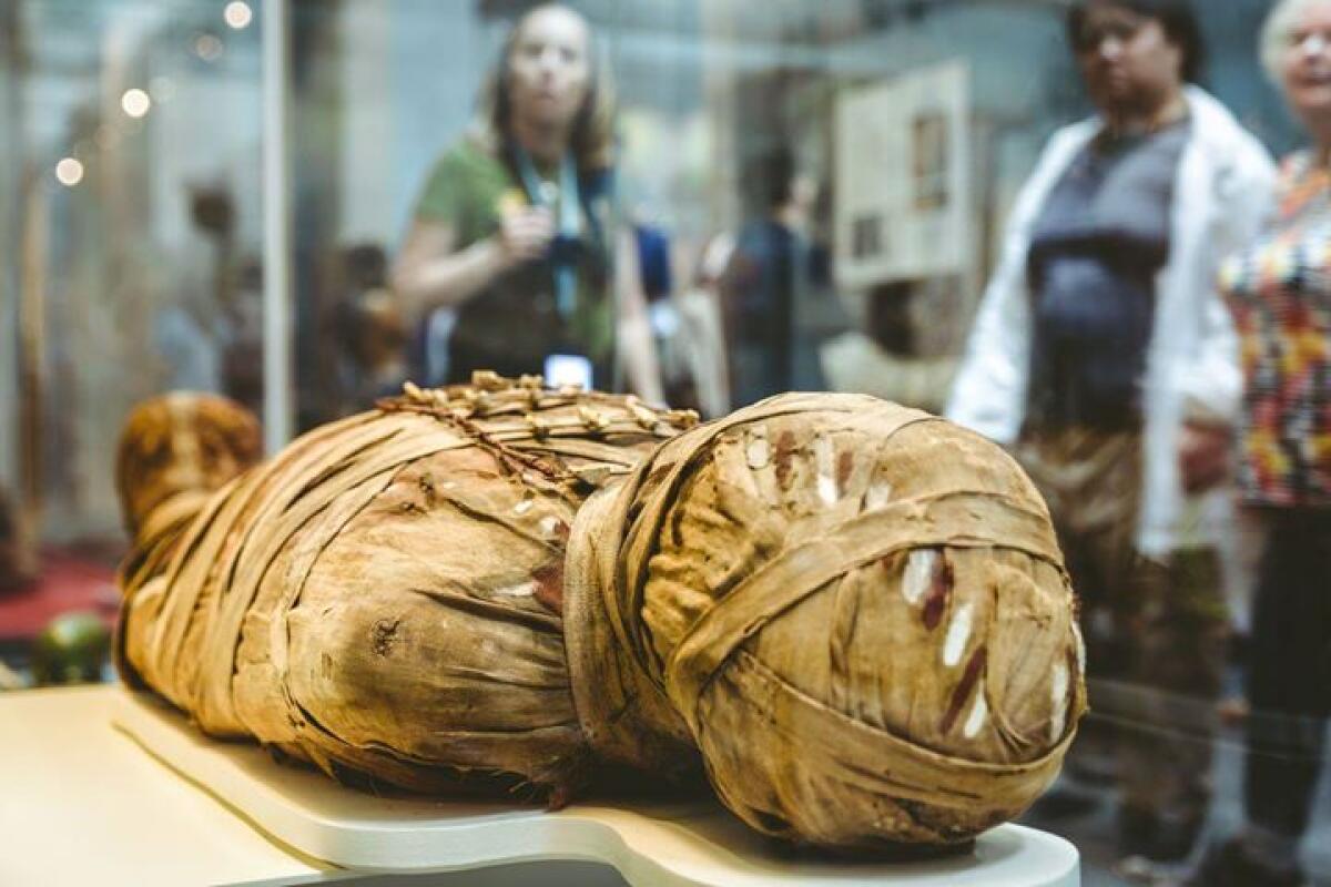 Ricostruita la voce di una mummia di 3000 anni fa - Ricostruita la voce di una mummia di 3000 anni fa
Credits: Adobe Stock