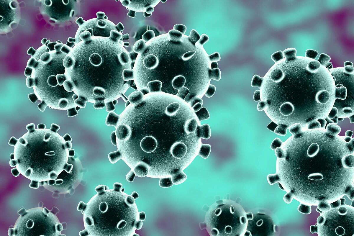 Coronavirus, parola alla matematica del contagio - La matematica del coronavirus, crediti: cefaluweb.com