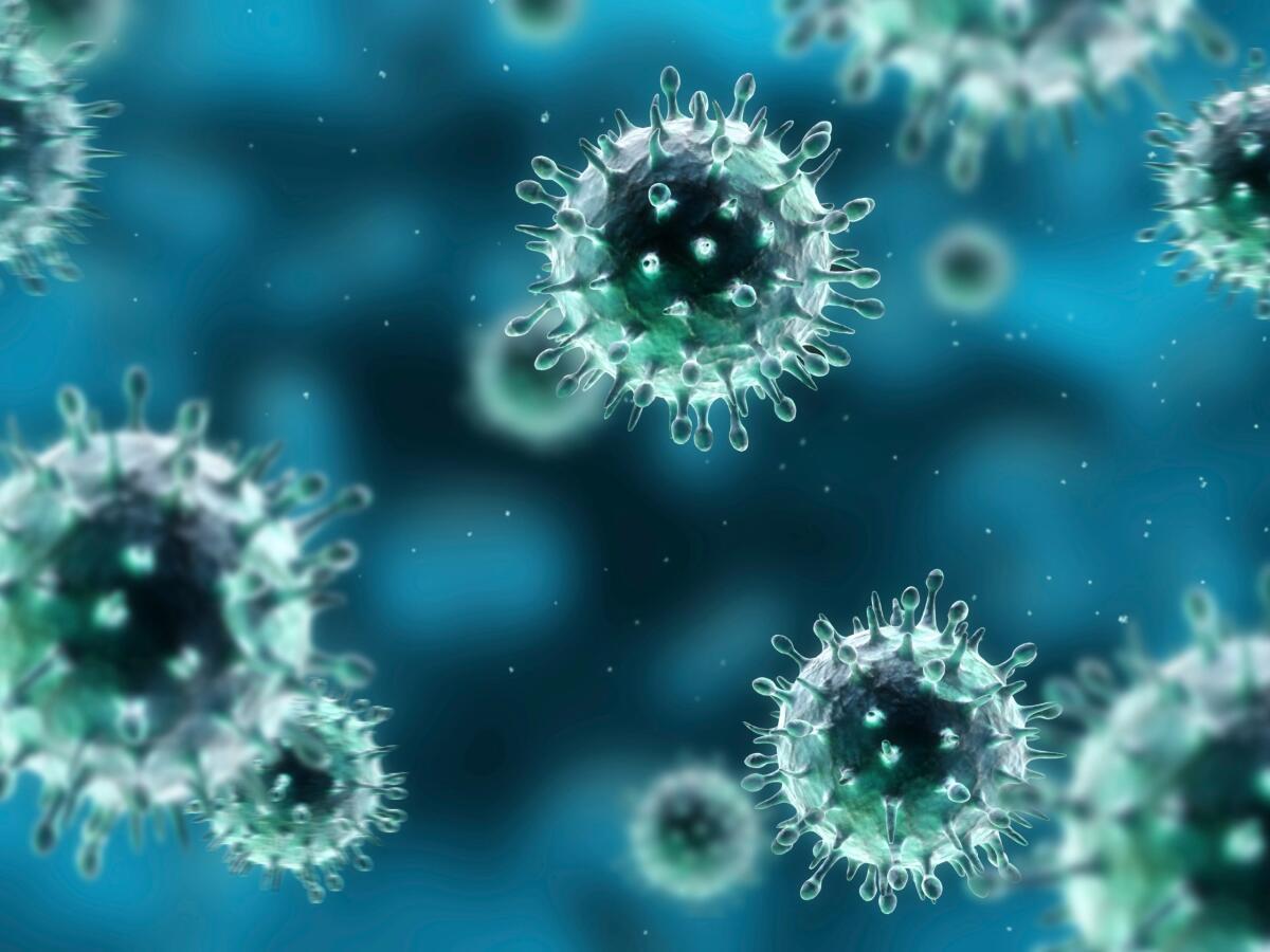 Oltre il coronavirus: scoperti antichi patogeni in Tibet - spazio-tempo-luce-energia.it