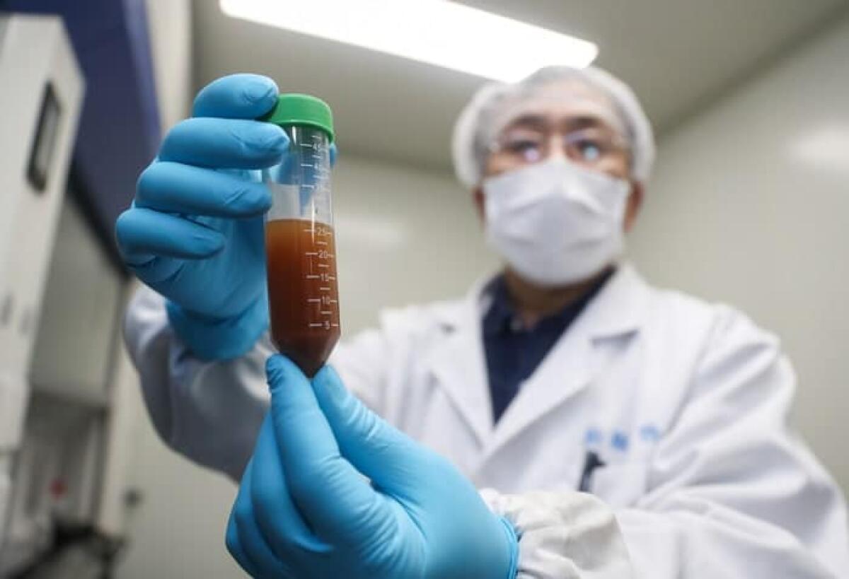 Coronavirus, il vaccino australiano supera i primi test - crediti: Xinhua