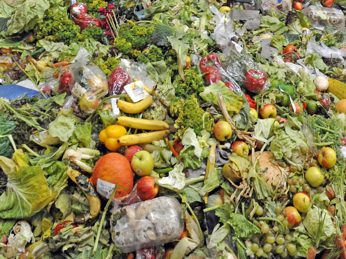 Spreco alimentare: una miniera da 15 miliardi di euro - redattoresociale.it