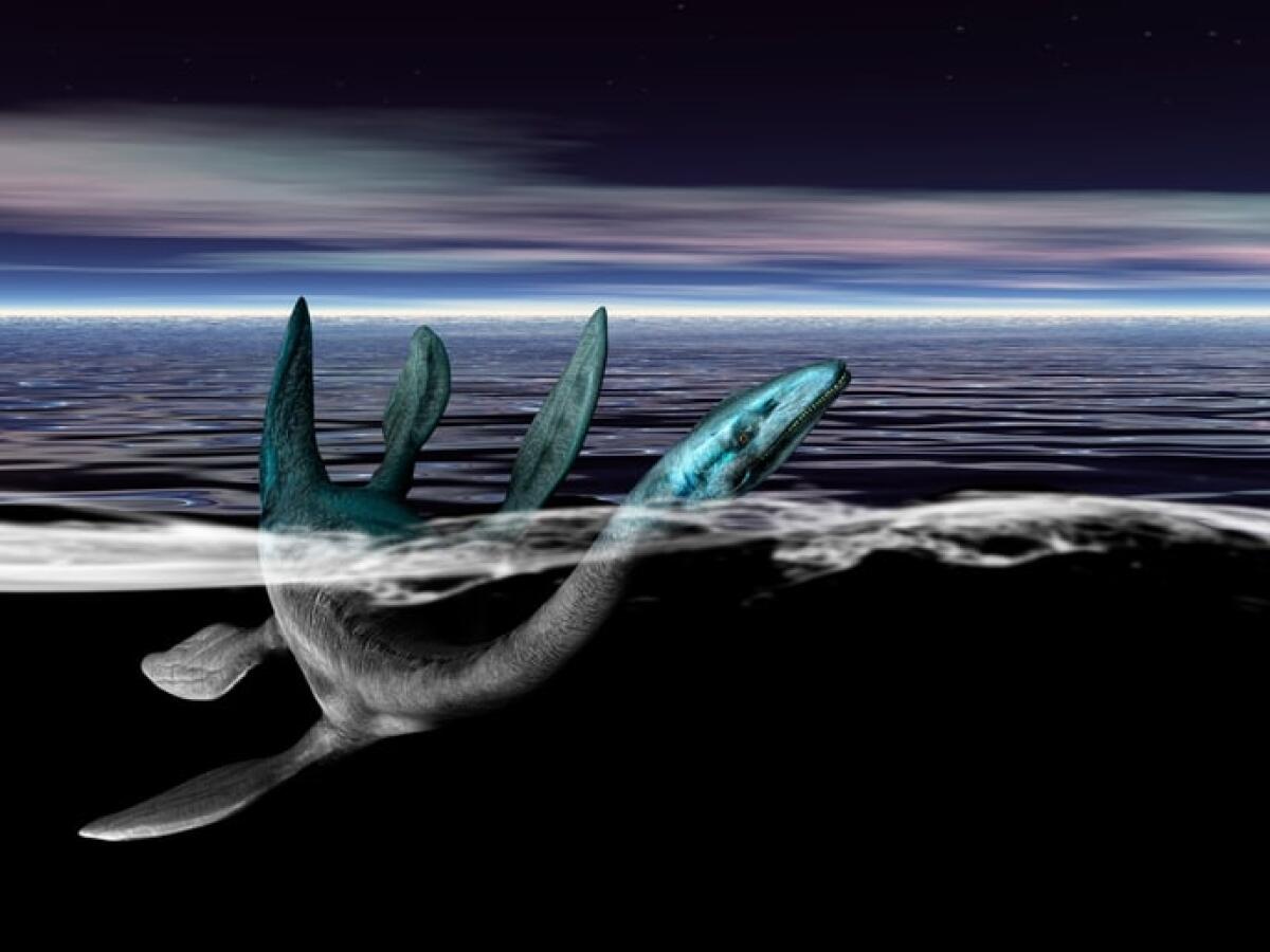 Loch Ness, sono del mostro quelle ossa giganti? - crediti: Victor Habbick, Shutterstock