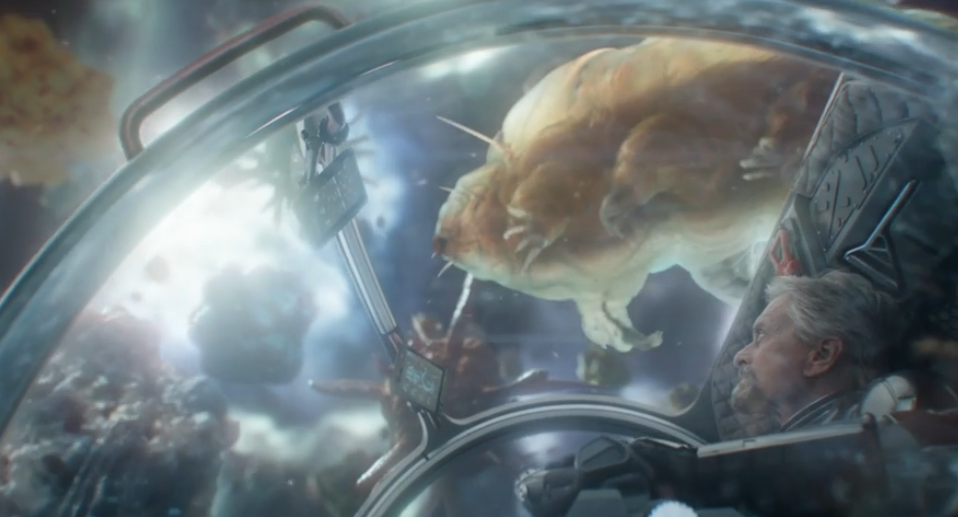 Il viaggio di Dr Pym nel regno quantico, livello dei tardigradi