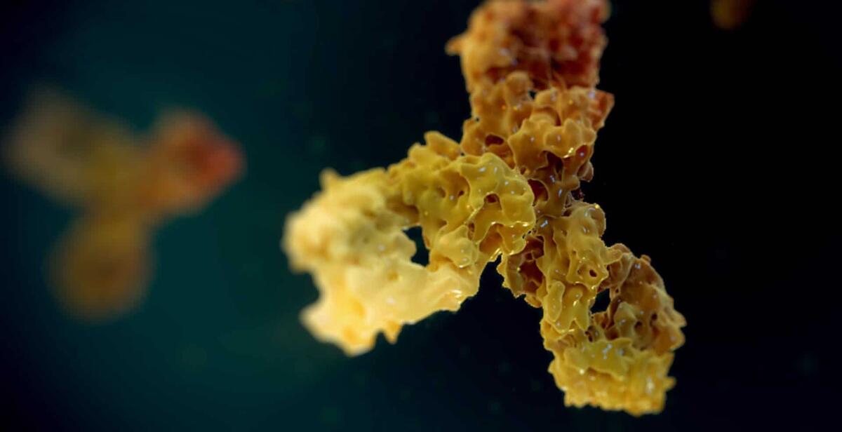 Coronavirus, ecco un nuovo anticorpo per sconfiggerlo - coronavirus, Anticorpi monoclonali