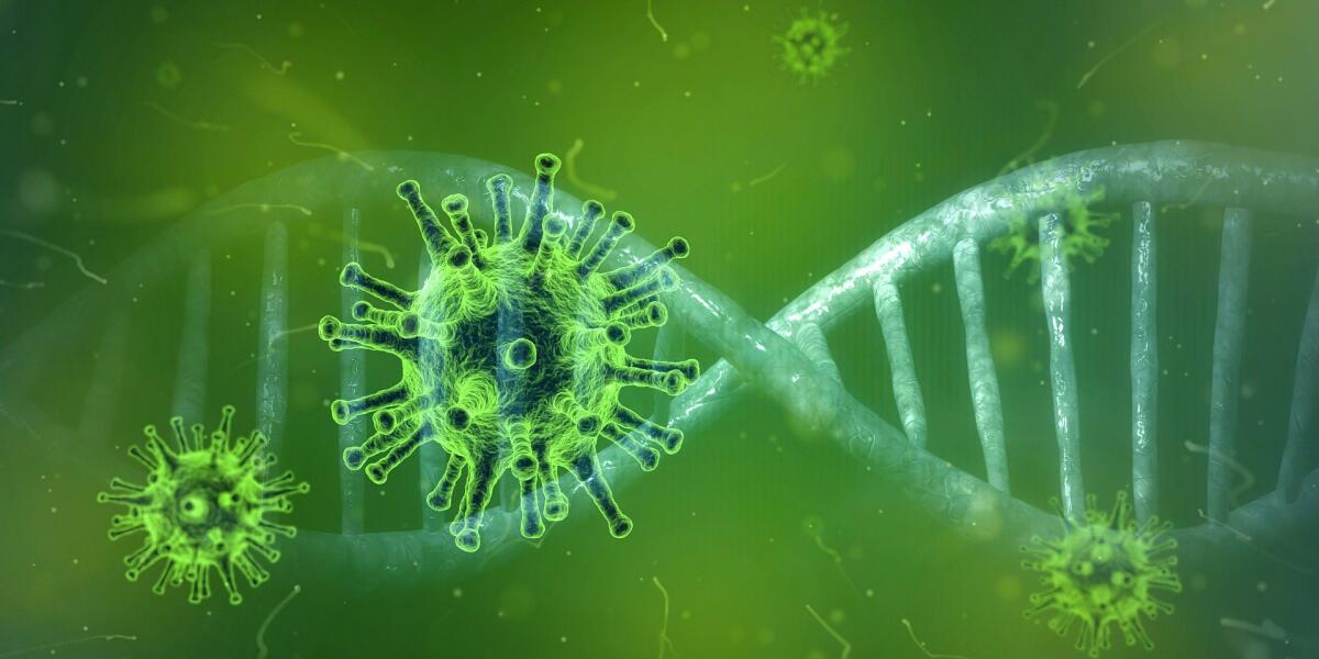 Coronavirus creato in laboratorio? La parola alla ricerca - 