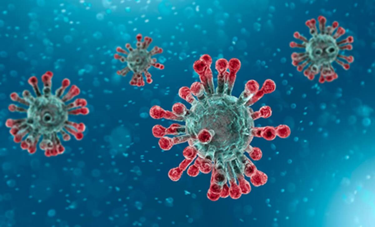 Coronavirus, i consigli dell'epidemiologo Fausto Francia - Crediti immagine: www.ecdc.europa.eu