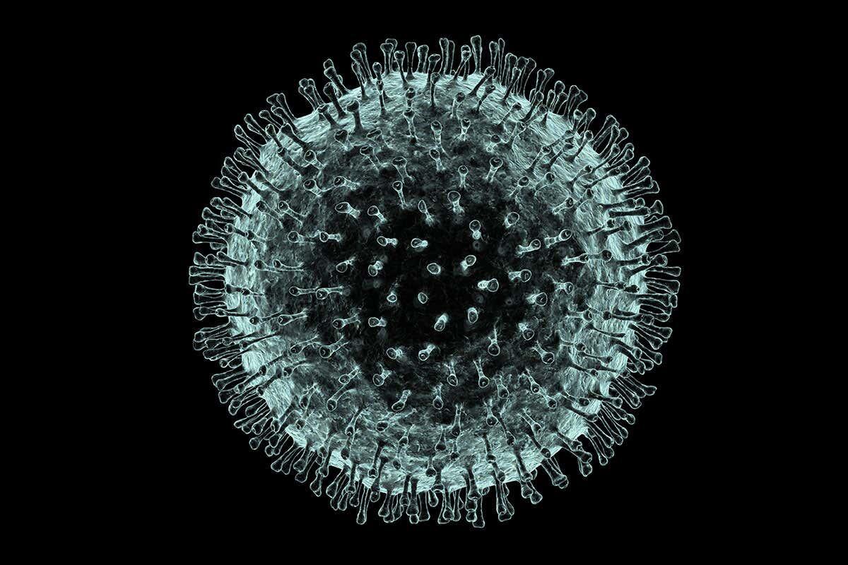 Coronavirus: il modello matematico che ne descrive l'evoluzione - 