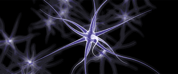 Come funziona un impianto neurale?