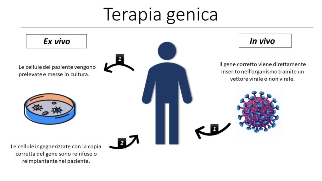Terapia genica ex vivo e in vivo