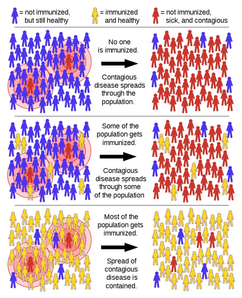 Crediti immagine:  National Institute of Allergy and Infectious Diseases (NIAID)