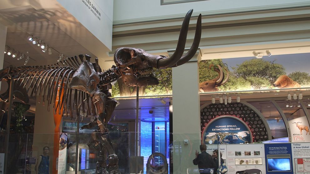 Lo Smithsonian museum. Credits: abcnews