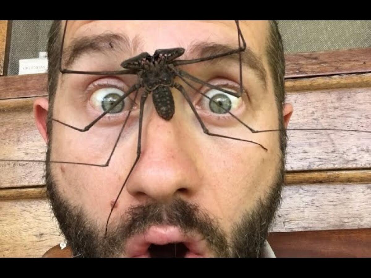La scienza della foto, intervista a Emanuele Biggi di Geo - 