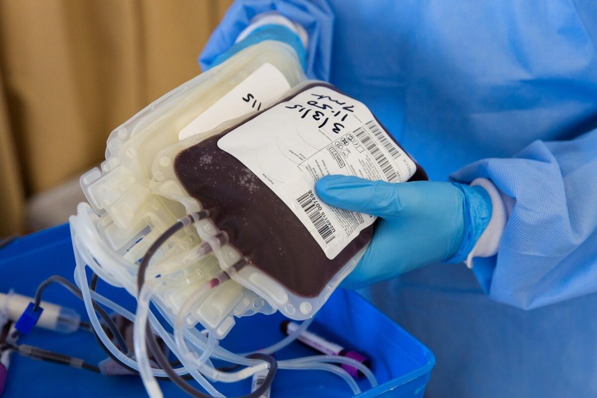 Via alla plasma-terapia per il coronavirus - 