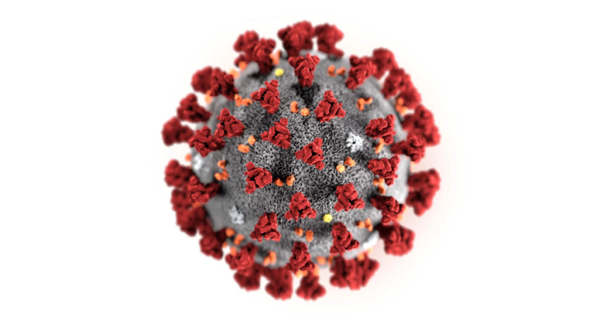 Orthocoronavirinae: cos'è il Coronavirus? - Orthocoronavirinae: cos'è il Coronavirus?
Image credits: scmp.com