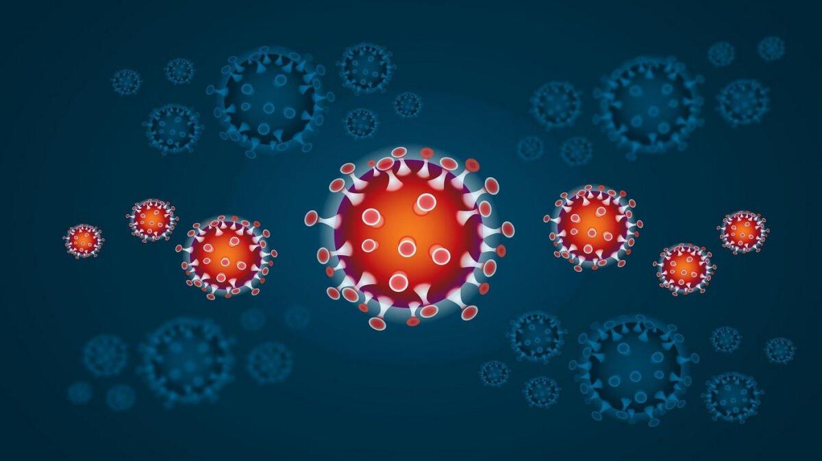 Coronavirus, si può predire l'esito della malattia? - modello sir covid 19