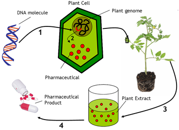 PH: biotecharticles.com