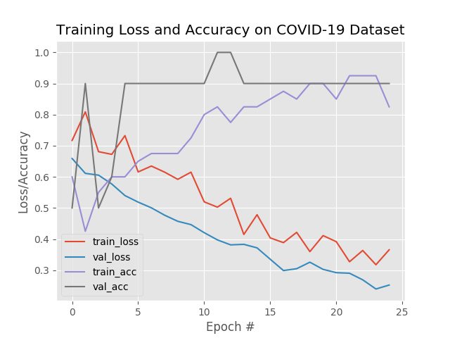 Grafico di loss e accuracy