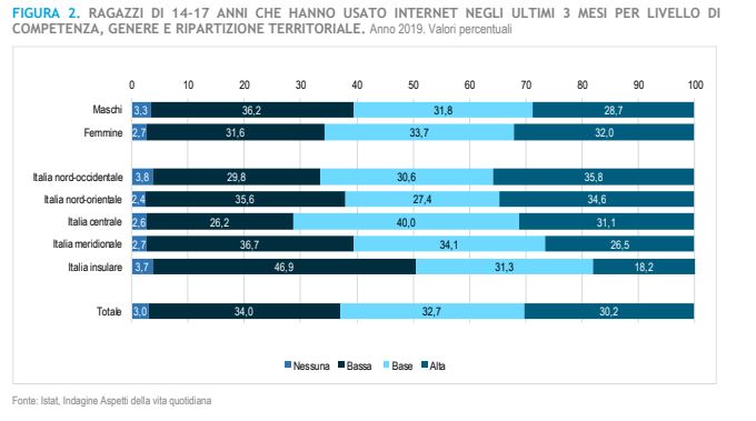 Grafico Competenze Digitali ISTAT