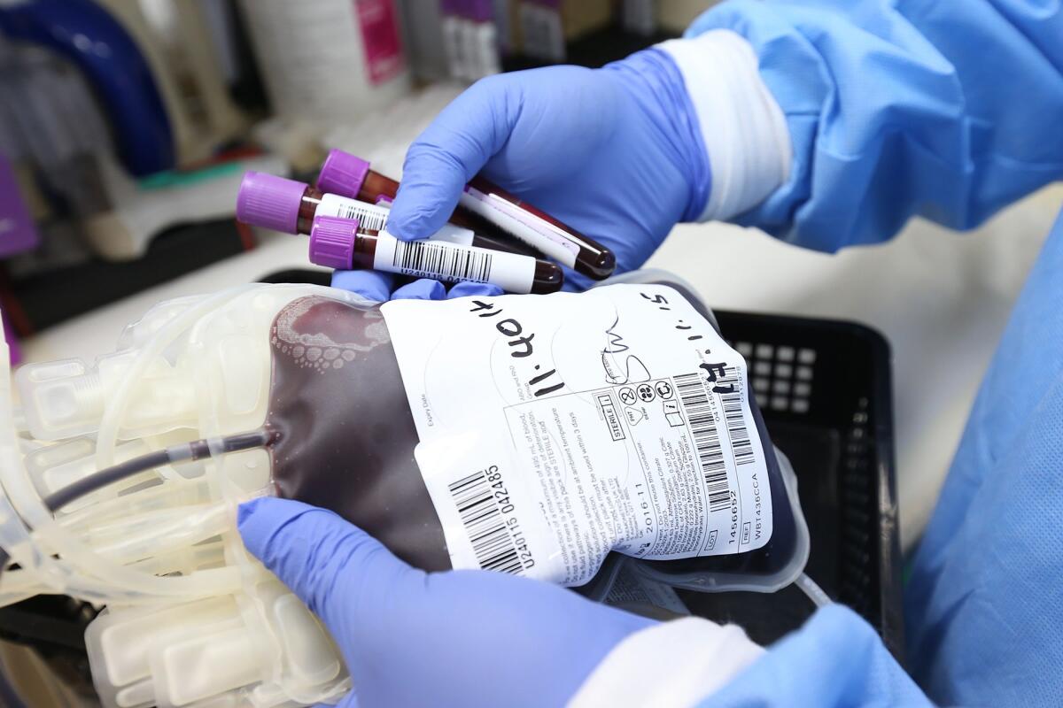 Mortalità ridotta al 6% con cura plasma: i risultati dello studio - 