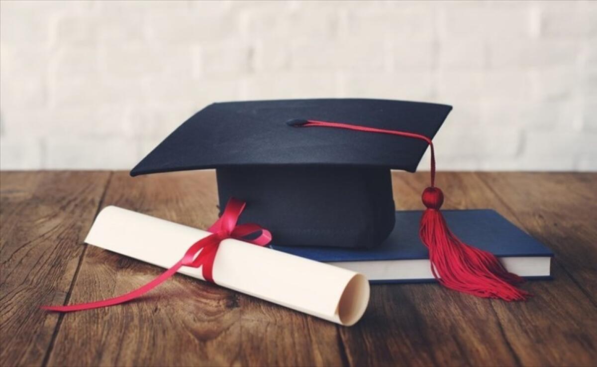 Studiare in Italia è un buon investimento? - 