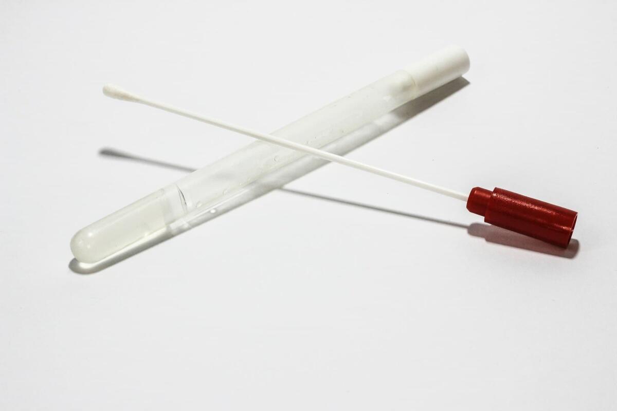 Coronavirus, arriva il test rapido salivare - test rapido salivare, crediti: pixabay.it