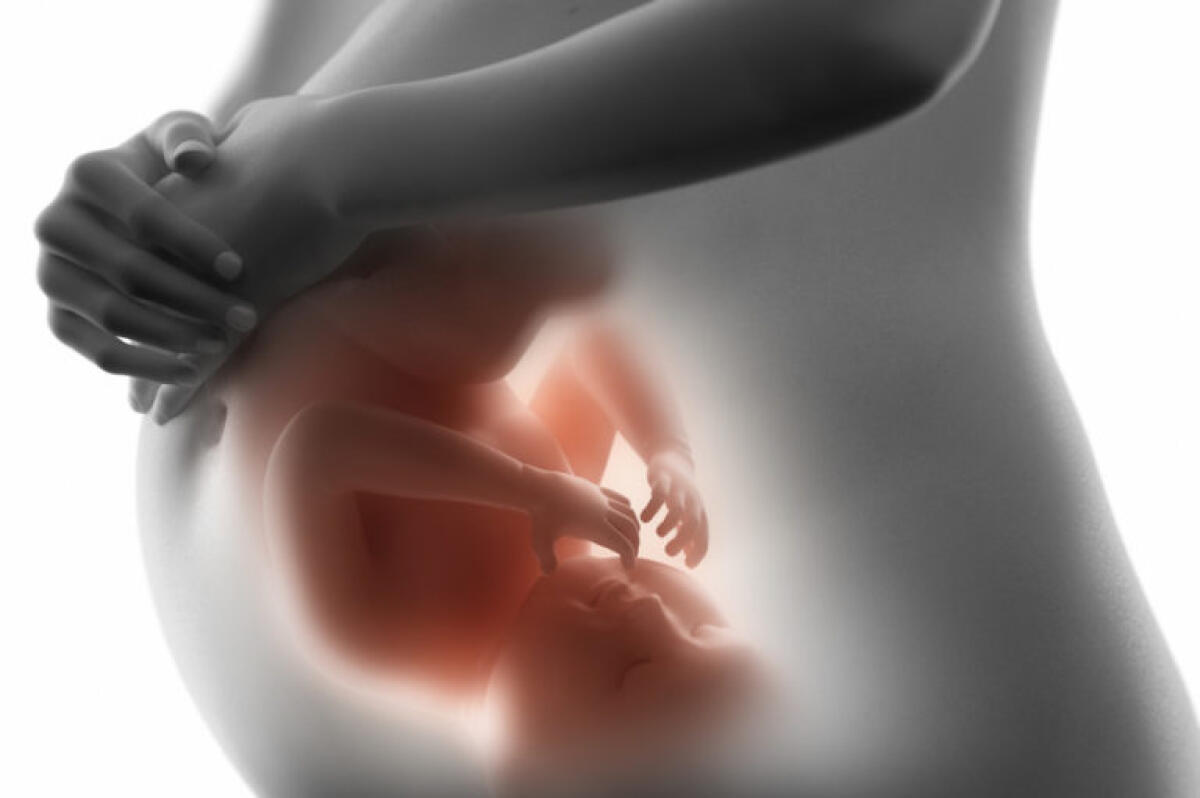 Palloncino inserito nella trachea di un feto: è successo a Roma - Fetoscopia su feto affetto da ernia diaframmatica congenita  Italia Ospedale Bambin Gesù