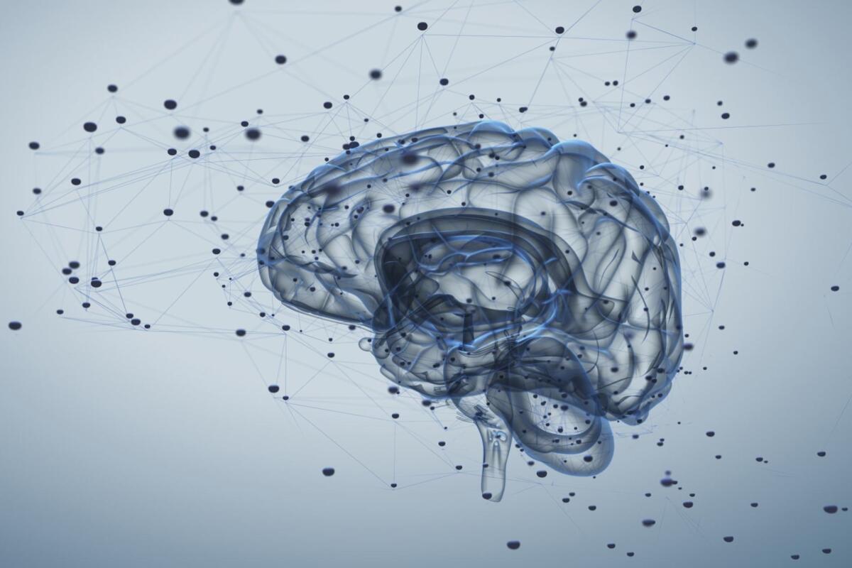 BCI: un nuovo algoritmo è in grado di stabilizzare le interfacce neurali - 