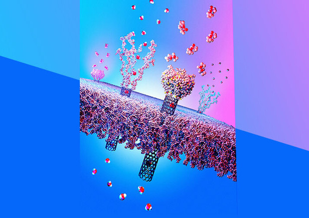 PH: Advanced Functional Materials