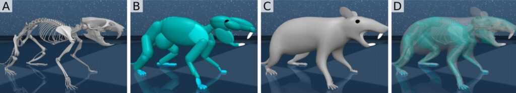 Ricostruzione biologicamente accurata del topo virtuale. Credits: Deep Mind e Harvard University