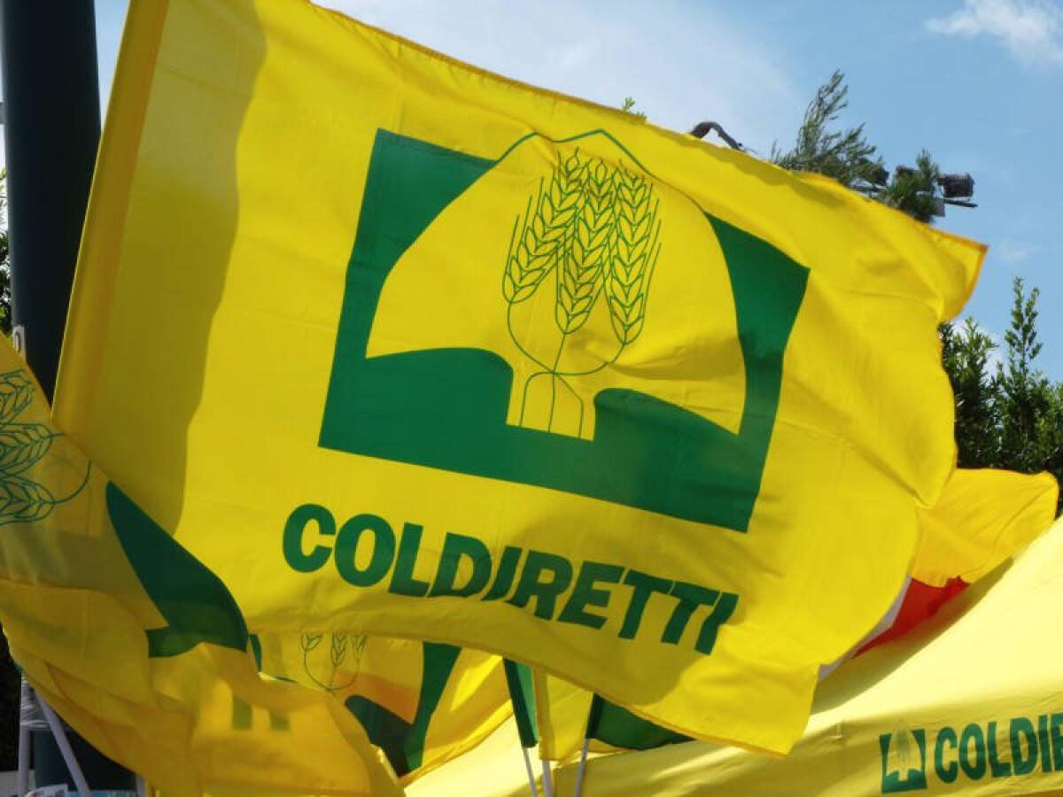 Coldiretti: problema raccolti per la Fase 2 - Fonte: Radio Lombardia
